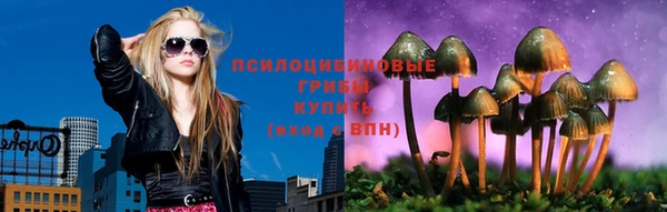 крисы Беломорск
