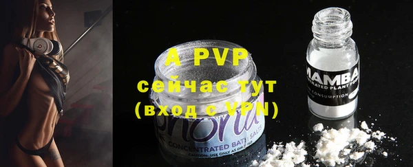 индика Белокуриха