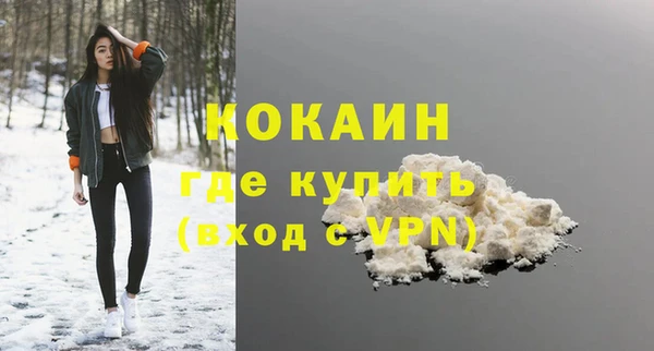 индика Белокуриха