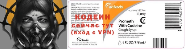 индика Белокуриха