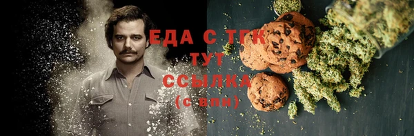 индика Белокуриха