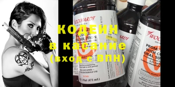 индика Белокуриха