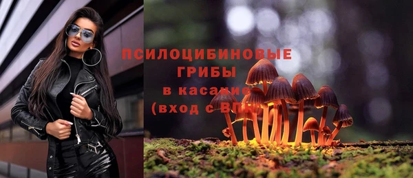 индика Белокуриха