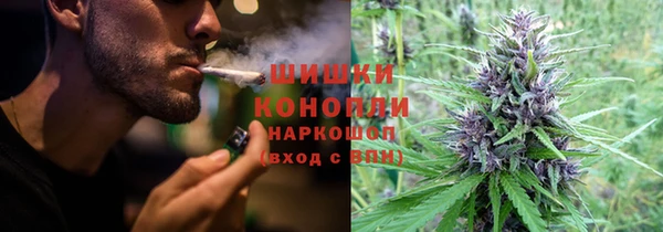 индика Белокуриха